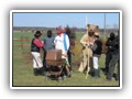 IMG_0674