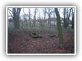 Borkowice 2007 002