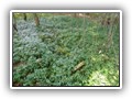 wrzesie� 2009
