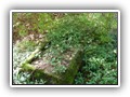 wrzesie� 2009