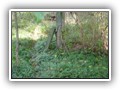 wrzesie� 2009