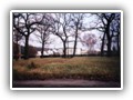 Krosinko 2003