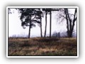Krosno 2003
