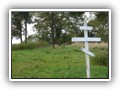Krosno 2010