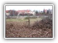Mosina 2007