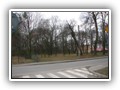 Mosina 2007