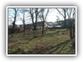 Pecna2007010
