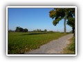 St�szew 2010