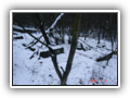�abinko 2007