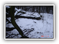 �abinko 2007