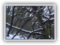 �abinko 2007